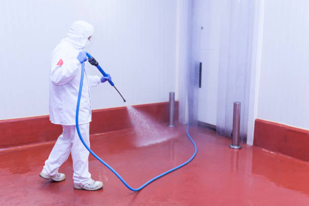 Best Solar Panel Cleaning  in Tlassee, AL
